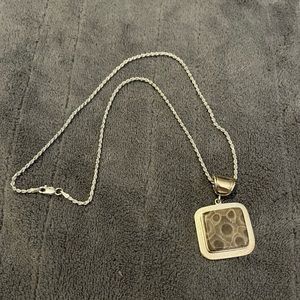 Beautiful Petoskey Stone Necklace